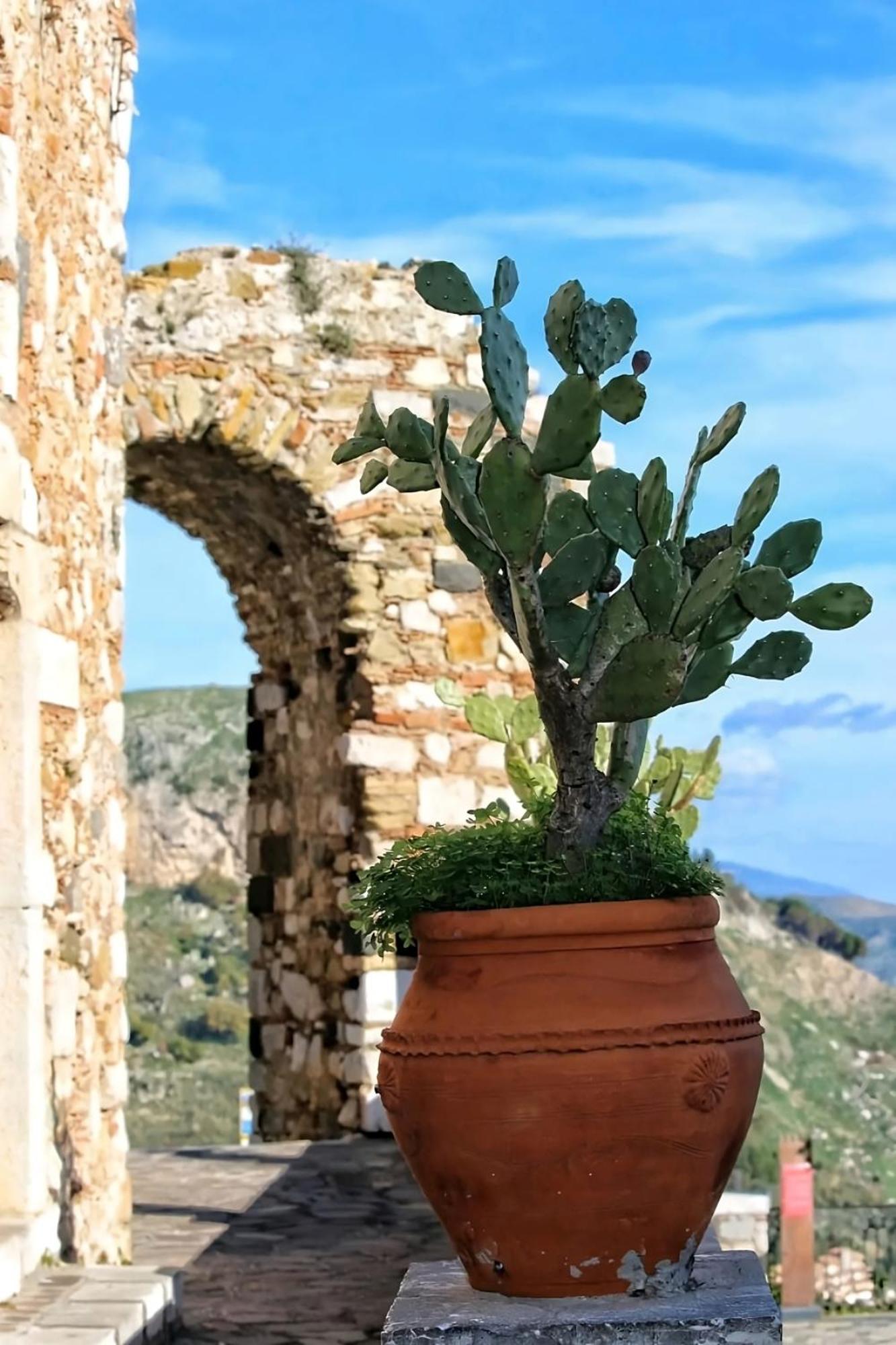 Casa Vacanze Etna Sunset Giarre Εξωτερικό φωτογραφία